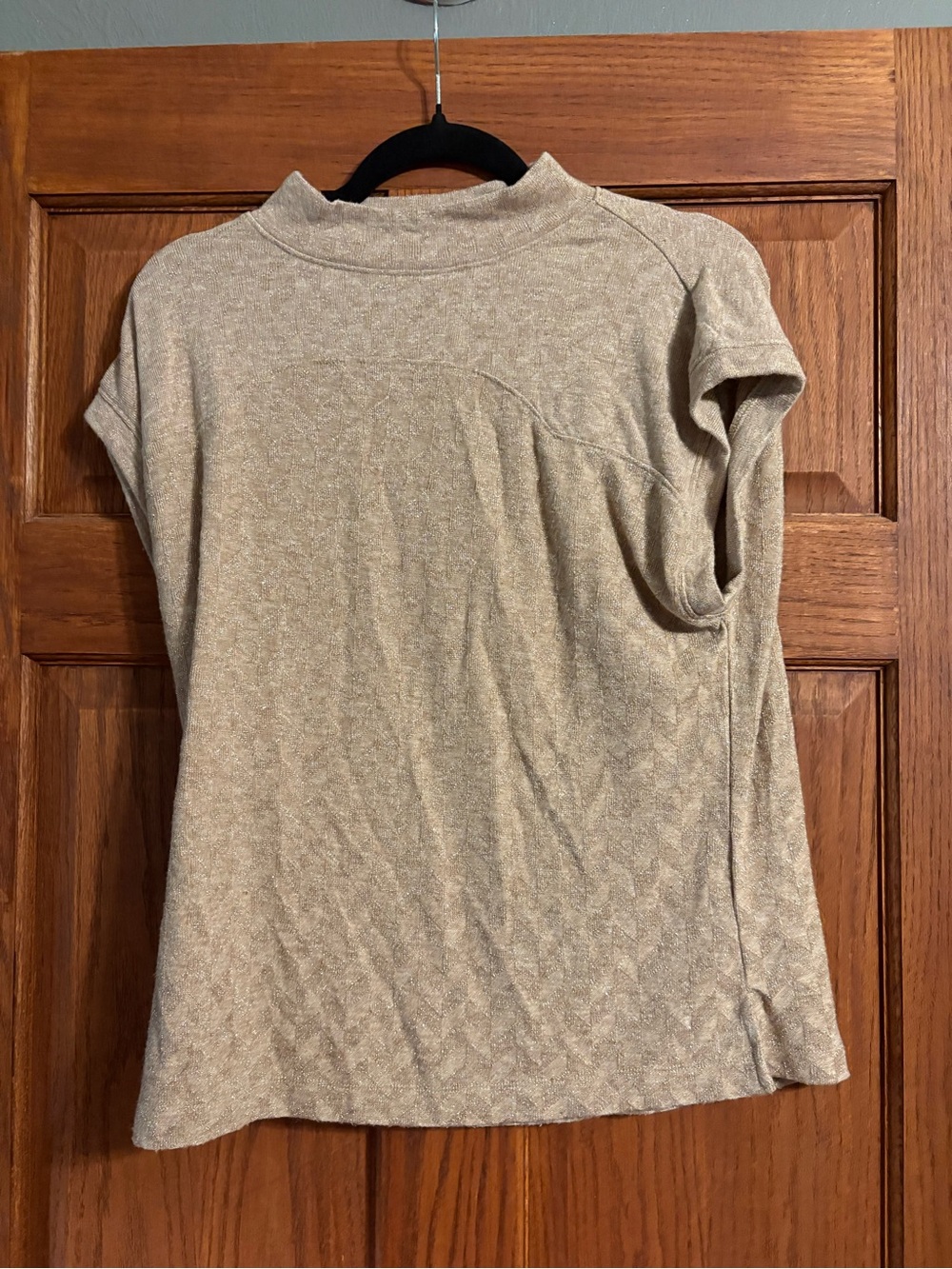 Democracy Beige Short-Sleeve Mock Neck Top
